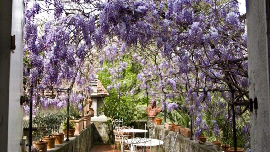 Locanda Sant' Agostino Lucca Ngoại thất bức ảnh